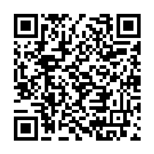 毕竟戾血莲的名气在我成名之前就足够轰动天南了二维码生成