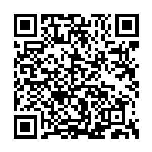 毕竟无法深入的了解到龙的世界到底是什么样的二维码生成