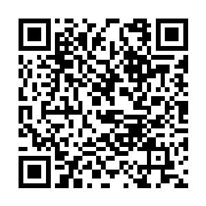 毕竟普通人可买不起这里动不动就几亿的豪宅别墅二维码生成