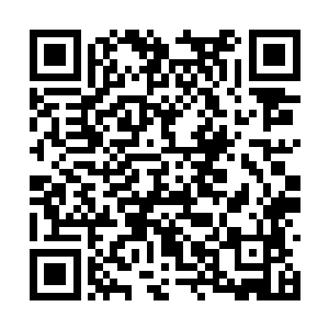 毕竟木云婷给他们带来的消息实在是太过于震撼了二维码生成