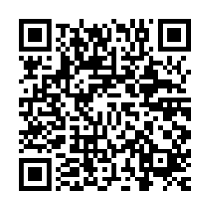 毕竟杨戬传授给天丹宗的炼丹术不过是他掌握之中的最微末的二维码生成
