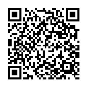 毕竟段天赐拿起那两件秘宝的过程是在众目睽睽之下二维码生成