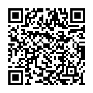 毕竟派一个副导演来接他们在礼数上也说得过去二维码生成