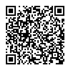 毕竟玄云池中的天地元气还是从元眼之玉之中诞生并且经过稀释而成二维码生成
