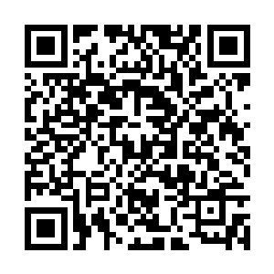 毕竟现在大家最害怕的就是林烽再带着女人回去了二维码生成