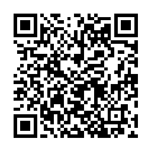 毕竟现在对联赛第四名的争夺已经进行到了白热化的阶段二维码生成