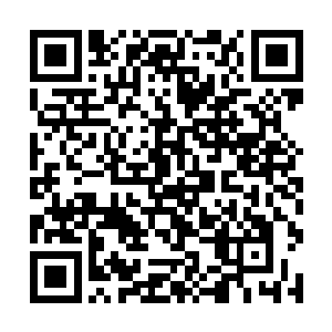 毕竟谁都没办法立即信任一位只凭运气做了两三件事二维码生成