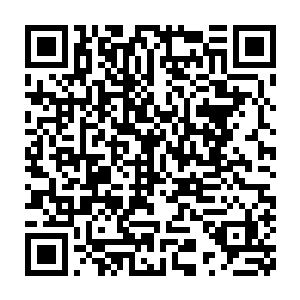 毕竟这一世龙傲天可是从最低级的玄天大陆那种位面一路经过修仙界二维码生成