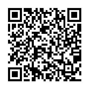 毕竟这个组织可是华夏明面上守护着华夏子孙的巨大的机器二维码生成