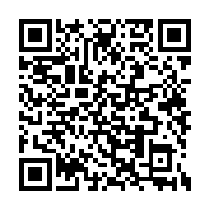 毕竟这么些仙人和凡人在安全区这么就没能出去二维码生成