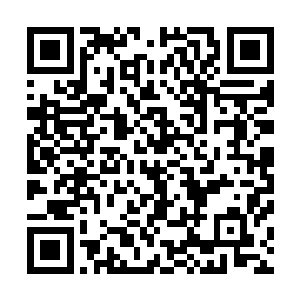 毕竟这种预测是建立在杨开能够纠缠住那皂袍老者的基础上二维码生成