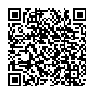 毕竟这里可是聚宝楼要是在这里遇到了什么问题的话恐怕聚宝楼也是脱不了干系二维码生成