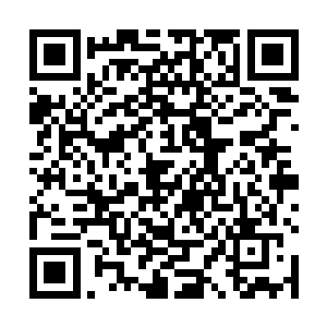 毕竟雷兽原本就是已经达到了无极天顶峰的恐怖的存在二维码生成