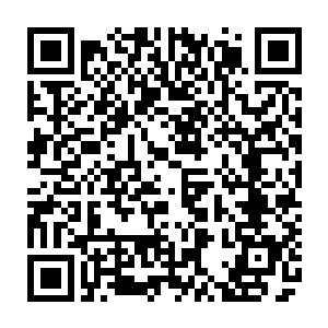 毛里克斯拉尼的爵位制度是哈特曼亲自按照中世纪欧洲的爵位制度来制定的二维码生成