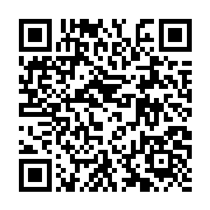 毫不留情的打向从圣弃界过來的几十名圣皇大圆满二维码生成