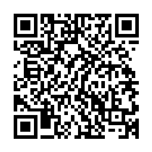 毫无证据的就一口咬定是自己的让拆迁队强拆了武天照的房子二维码生成