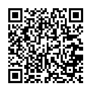毫无遮掩是分身气息――实际上朝廷轮替对应着天宫轮坐二维码生成
