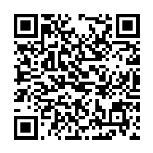 水属性的修真者是绝对逃不出土属性绳索的绑缚的二维码生成