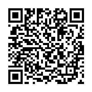 永远是在内藏阁里安静的翻看着卷宗的谪仙般的男子二维码生成