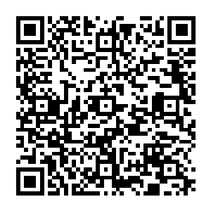 求您了…拜托您了…您就行行好……发发慈悲吧……我们只要求痛痛快快的一死……二维码生成
