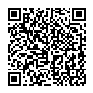 求我一定要保住孩子的画面……我无法保护自己的孩子和女人……我亲生孩子二维码生成