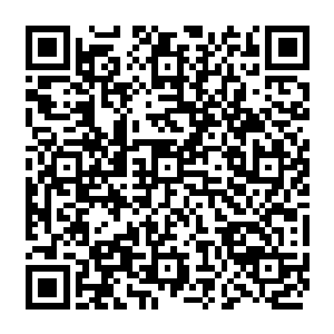 汉密尔顿家进行冲浪训练用电脑作总结在比赛规则允许内打造贝瑟尼的专用冲浪板二维码生成