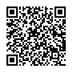 江……你不是说等过一阵会帮你的母亲开一家公司吗二维码生成