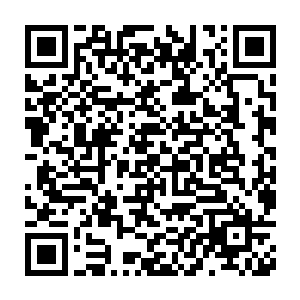 江少游的透视眼已经看到几个保镖小心翼翼地转到了他们所在的这个山二维码生成