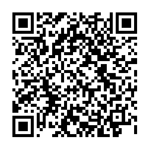 江帆尝试着召唤出符咒世界中的飞翼银龙和金甲蛮虫等神兽出来帮着一起搜山二维码生成