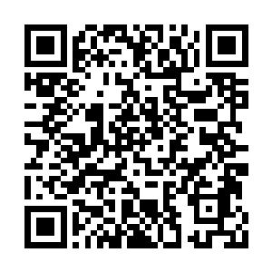 江逐流再对他动手的话其实是坐实了自己的罪名二维码生成