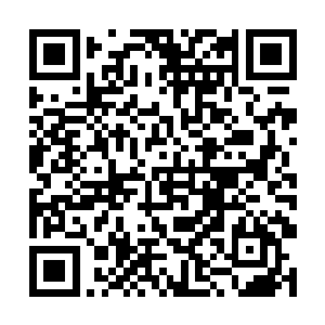 池佳一可以像是虚境一样时时刻刻的张开自己的领域二维码生成