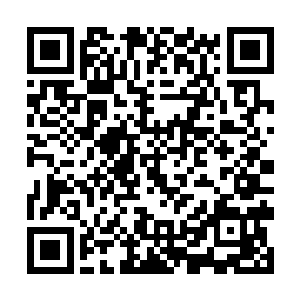 池母看着言左左的眼神简直就像是恨不得给她几巴掌二维码生成