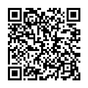 汪仁温润似玉的清俊面庞上却意外地蕴起了淡淡的笑意二维码生成