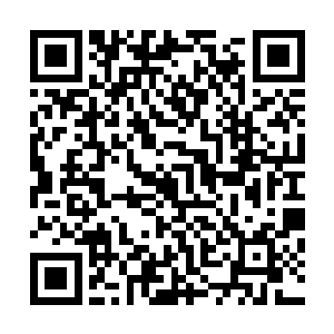 汪水中同样几棵敞开的如碧绿大伞一样的叶子正在水中浮动二维码生成