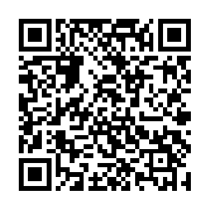 汹猫正用一种难以置信的目光看着眼前这两位入侵者二维码生成