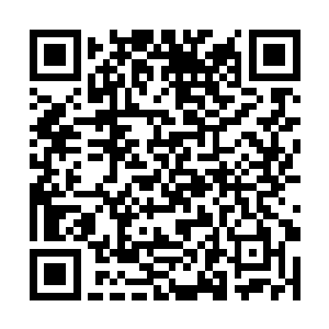 沈丽缇的小鼻子已经像狗鼻子一样凑到他的身上乱嗅二维码生成