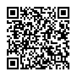 沈先生一个不会功夫的老头子怎么也不会是他和莫弦的对手啊二维码生成