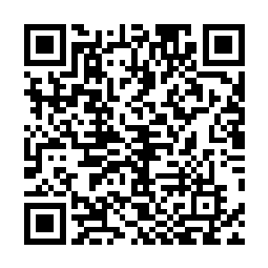 沈凡一刀一人屠戮十大势力的风姿像魔鬼一样让他们难受二维码生成