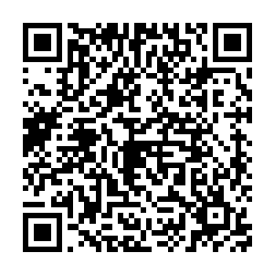 沈凡从巨树之中感受到了浩然如海的生命力的源源不断的木属性神力二维码生成