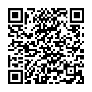 沈凡将铁血领所有用得着的丹药和灵药以及各种天材地宝拿过来二维码生成