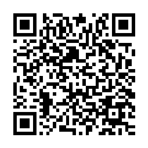 沈凡的刀修和体修境界都相当于刚刚踏入五气境初期大能的水平二维码生成