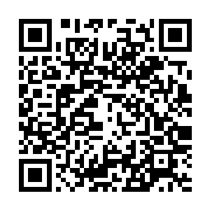 沈凡的须臾带中装满了炎黄界域甚至是无尽星空中人的惠赠二维码生成