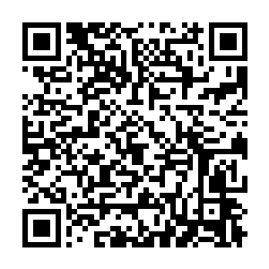 沈扬和林大夫每日里闭门不出的研究也不知道到底什么时候才能有接过二维码生成