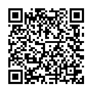 沈文彦一时间也有些猜不透寒王妃此番举动的目的二维码生成