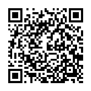 沈某你们以为在寻找其他的蛮令线索……所以才……二维码生成