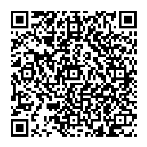 沒力气 那多吃点肉 对了 今天來 一方面是來看你的 另一方面 却也是有些事情 想要跟你说 二维码生成