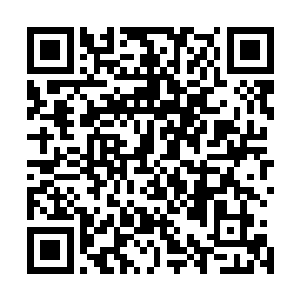沒证据可不能乱冤枉人　我只是经过　听说了里面的事情　二维码生成