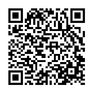 沙摩塞和米尔斯从律师事务所现场留下的线索想到了关键点二维码生成