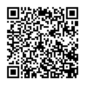 沙摩塞这一角色渊博的外表为杀手视为道德宣言的罪行带来了深度和意义二维码生成