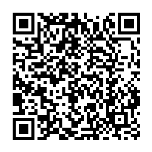 没事枪枪隔壁家族的棒棒糖欺负一下岛国财团招猫斗狗其实挺好的二维码生成